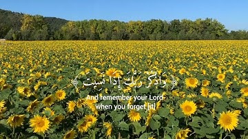 ﴿ وَاذْكُرْ رَبَّكَ إِذَا نَسِيتَ﴾ سورة الكهف الاية (23 ،24 )