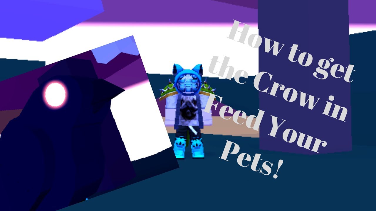 Crow How To Get The Crow Feed Your Pets Youtube - hack roblox feed your pet