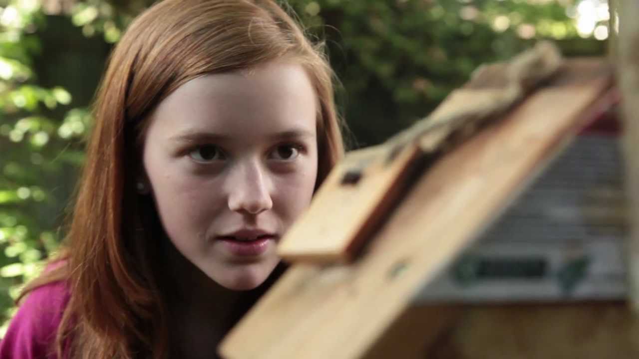 Extraordinary Story 6 - Wildlife & Mini Beast Garden