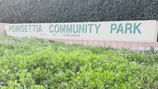 Carlsbad residents seek justice after bullying video