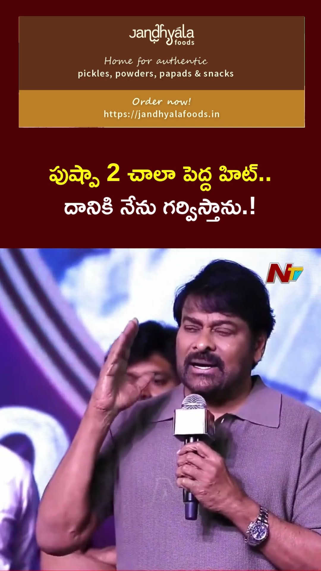 మేమందరం కలిసే ఉంటాం : Chiranjeevi | Pushpa Pre Release Event | Ntv