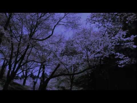 紫の桜 ￨ 中島みゆき [Tee♂G3 cover]