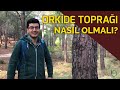 Orkide Toprağı Nasıl Olmalı?