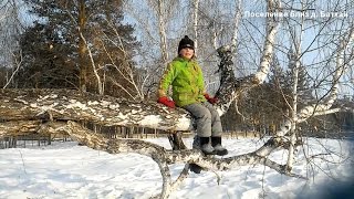 Практикум СО, окружающий мир, ориентиры на местности