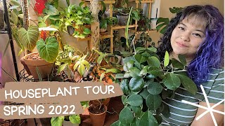 Full Collection Houseplant Tour | My 200+  plant collection