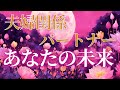 【夫婦関係💐】『パートナー🕊️あなたの未来について🪷過去から詳細な感情を視ました✨あなたの人生を大切にして欲しい✨』#タロット#タロット占い#リーディング#オラクルカード#人生相談#離婚