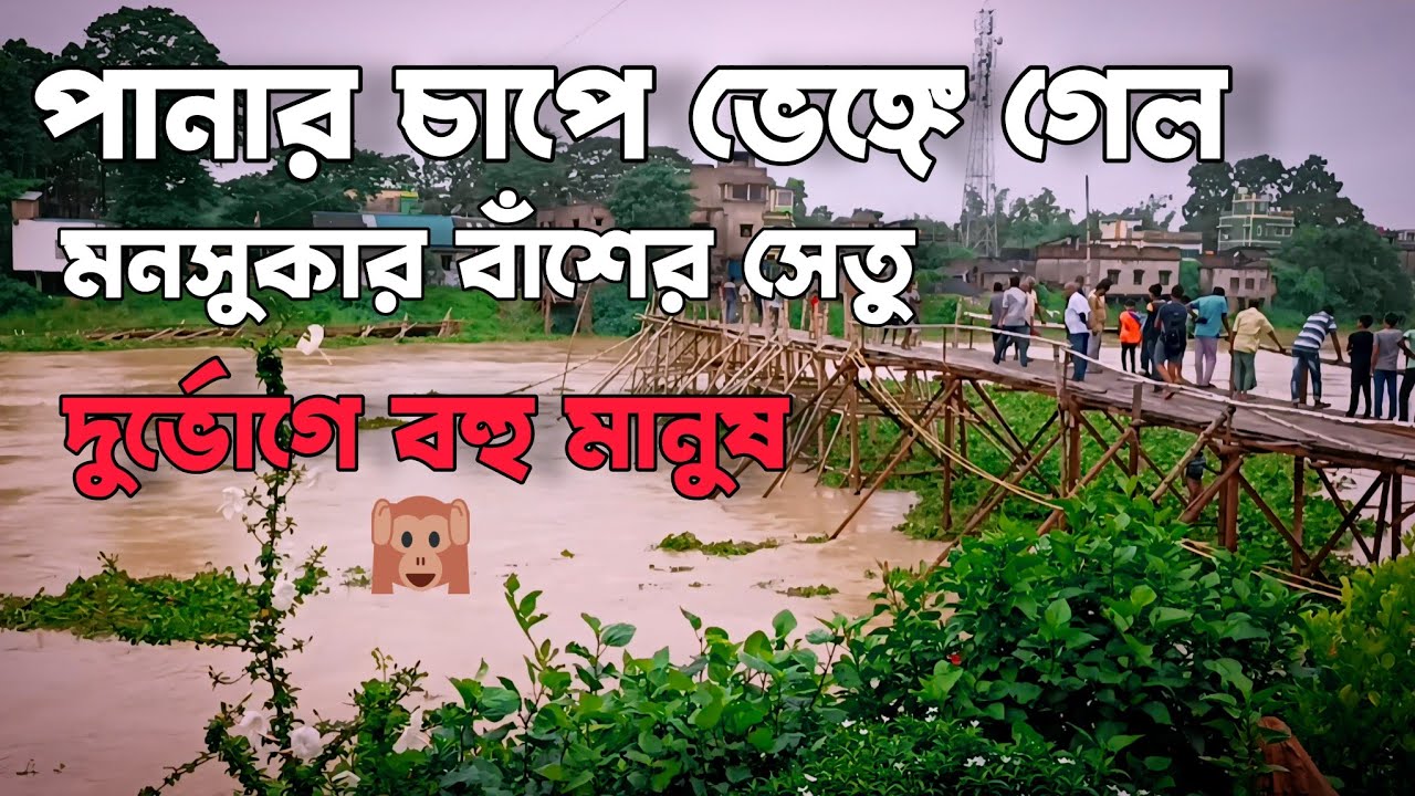 Mansukar Setu || জলের তোড়ে আবার ভেঙে ভেসে গেল মনশুকার সাঁকো🙆😂 || Ghatal Flood || ঘাটালের বন্যা