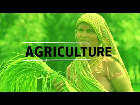 Video: Ktorá z nasledujúcich možností je cieľom trvalo udržateľného poľnohospodárstva?