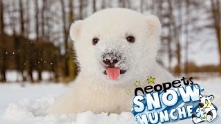 WHAT is SNOW? :o | Snowmuncher
