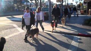 2nd st walk Long Beach