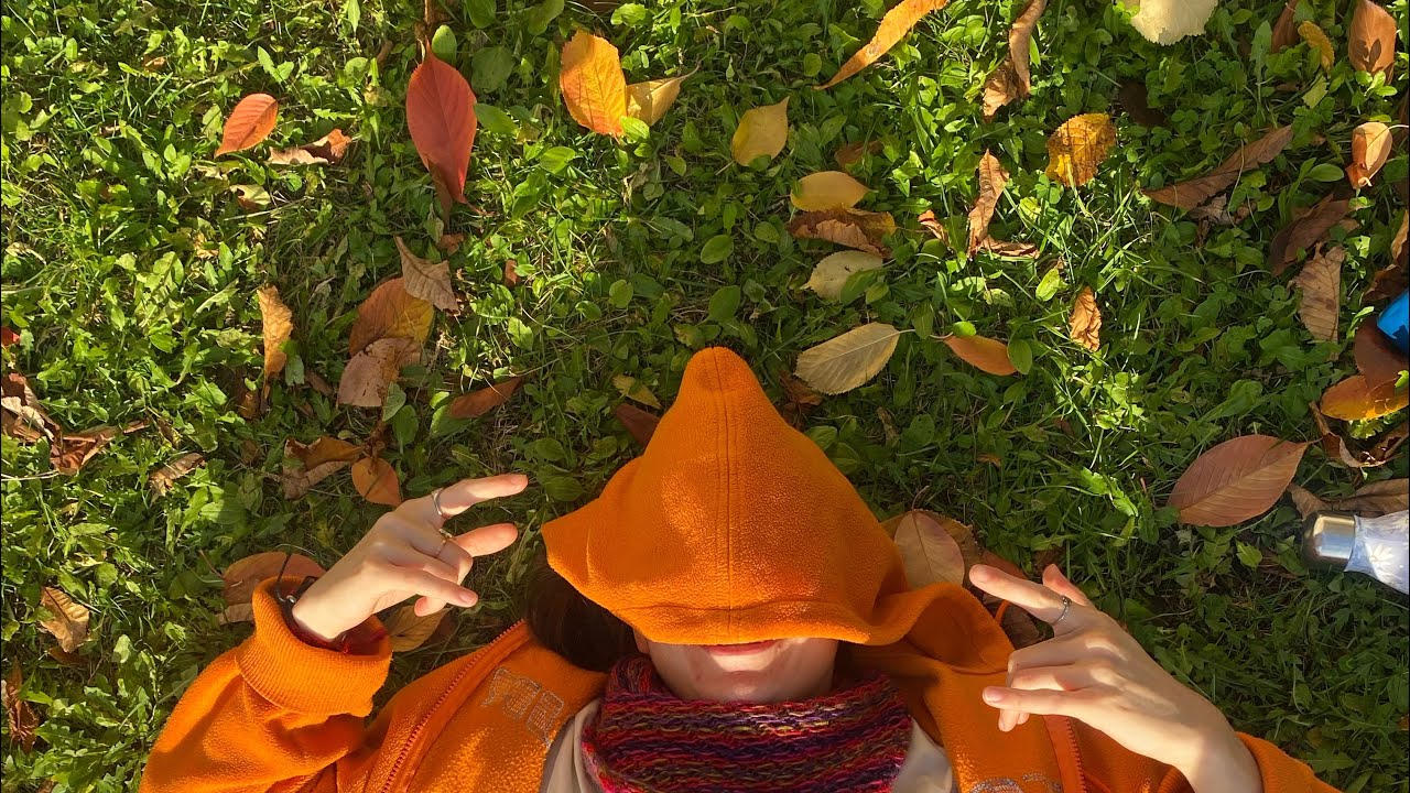 Did you notice the leaves falling?