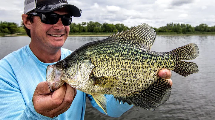 Catch More Summer Crappies With These Secret Tips
