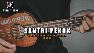 Genduk Denok Santri Lulusan Pondok ( SANTRI PEKOK ) Cover Ukulele By Amrii Official