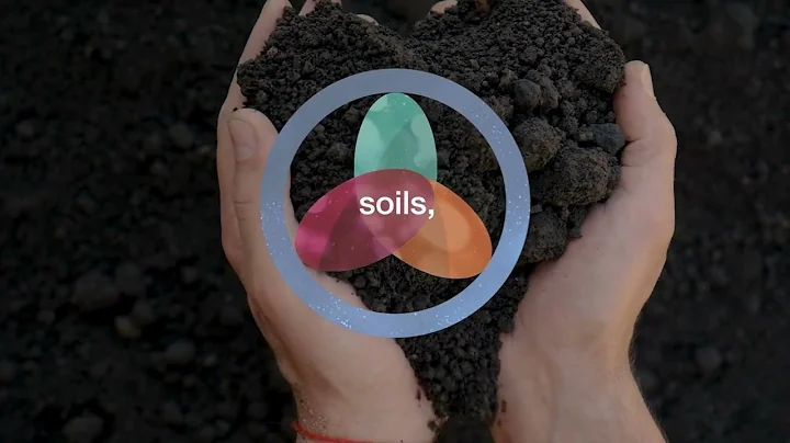 IPBES Nexus Assessment - Response options