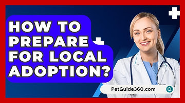How To Prepare For Local Adoption? - PetGuide360.com