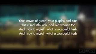 Damian "Jr. Gong" Marley - Medication ft. Stephen Marley (Letra/Lyrics)