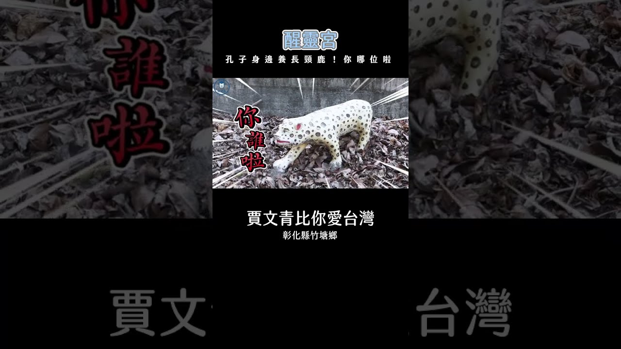 「彰化竹塘醒靈宮」孔子身邊為什麼要養長頸鹿跟斑馬……欸,你到底誰啦?! 縮圖