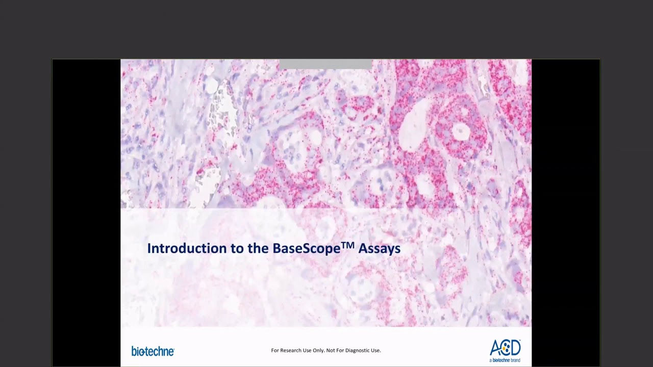 Getting Started and Troubleshooting Tips for BaseScope™ Assays