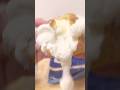 うまけりゃけっかおーらい