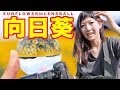 【写真撮影】レンズボールを使ってCanon EOS5D MarkIIIでひまわりを撮ってたらインスタ映えどころかブチキレだしたwww【ともよ。】