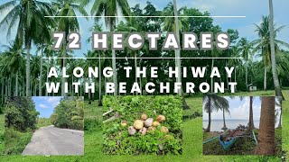 AL#01  MAGANDANG FARMLOT ALONG D'HIWAY NA MAY BEACHFRONT 72 HECTARES SA MURANG HALAGA