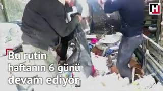 Syrian Paper Collectors Find Refuge In Photography In Adana In Turkey’s South