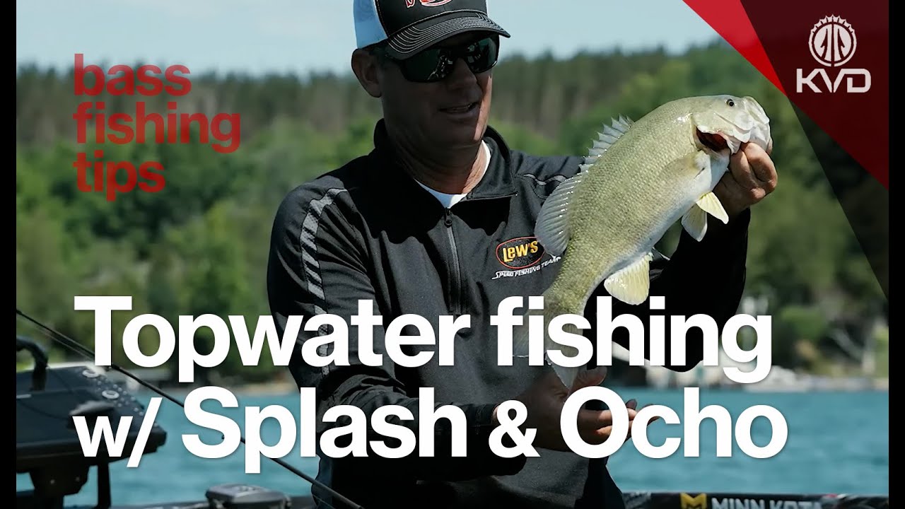 Summer mayfly season fishing with KVD - bass fishing tips