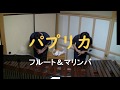 <NHK>2020応援ソング「パプリカ」フルート&マリンババージョン / 遠藤慎(flute) 中田丈次(marimba)