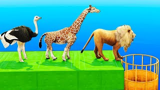 Lion Tiger Goose Zebra Elephant Gorilla Deer Cat Dog Fall Through Pipe On Glass Challenge In Gta 5