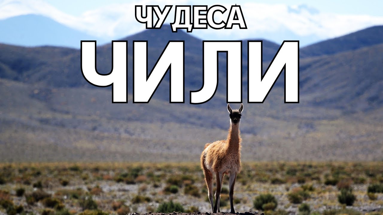 13 ЛУЧШИХ МЕСТ ЧИЛИ - РЕЙТИНГ 2026 | 🌶️Что есть в Чили кроме перца?