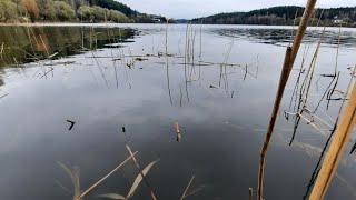 Рыбалка на поплавок. Весенняя рыбалка. Рыбалка в Беларуси 2024.