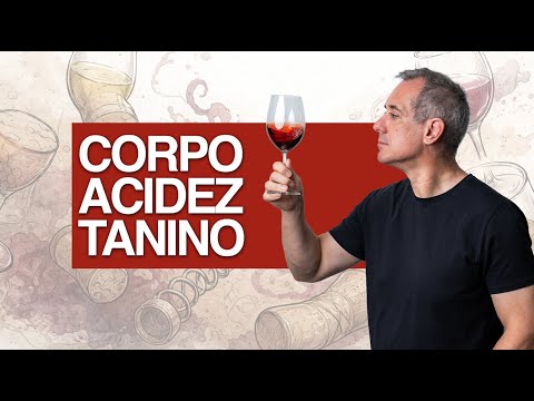 Body, acidity, and tannins: how to understand wine without complication - Blended Wines Podcast