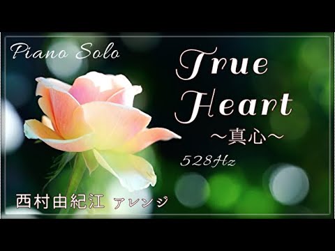 『True Heart』西村由紀江 ピアノ ソロ   528Hz (A=444Hz) Piano  Solo Cover　Yukie Nishimura