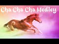 Cha Cha Cha Medley - Top 10 Instrumentals Melodies | Relax Music Playlists 2023