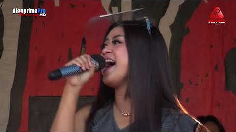 COCOTE TANGGA   ALL ARTIS