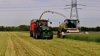 Żyto na kiszonkę w GR Butor! New Claas Jaguar 950 John Deere 8360r