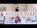 A WEEK IN THE LIFE ON QUARANTINE! MOVING BACK TO LONDON AND ORGANISING MY LIFE! - Lucy Stewart-Adams