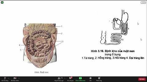 x quang tiêu hóa có chất cản quang