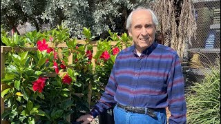 In Loving Memory of my father Joe Manzella 