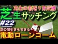 6月の芝生更新サッチングと夏に向けて芝の間引き　キンボシ電動ローンコーム　芝活2020#22