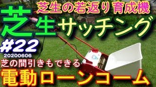 6月の芝生更新サッチングと夏に向けて芝の間引き　キンボシ電動ローンコーム　芝活2020#22