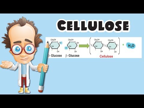 Cellulose