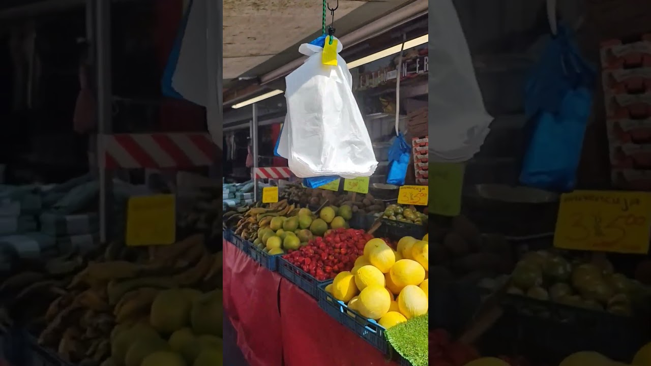 Famous Market in the Netherlands- Haagse Markt  