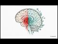 Your Brain on Nature