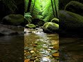 You Need This Right Now 🌿💧 #relaxing #nature #asmr #peacefulwaves #relax #asmrwater