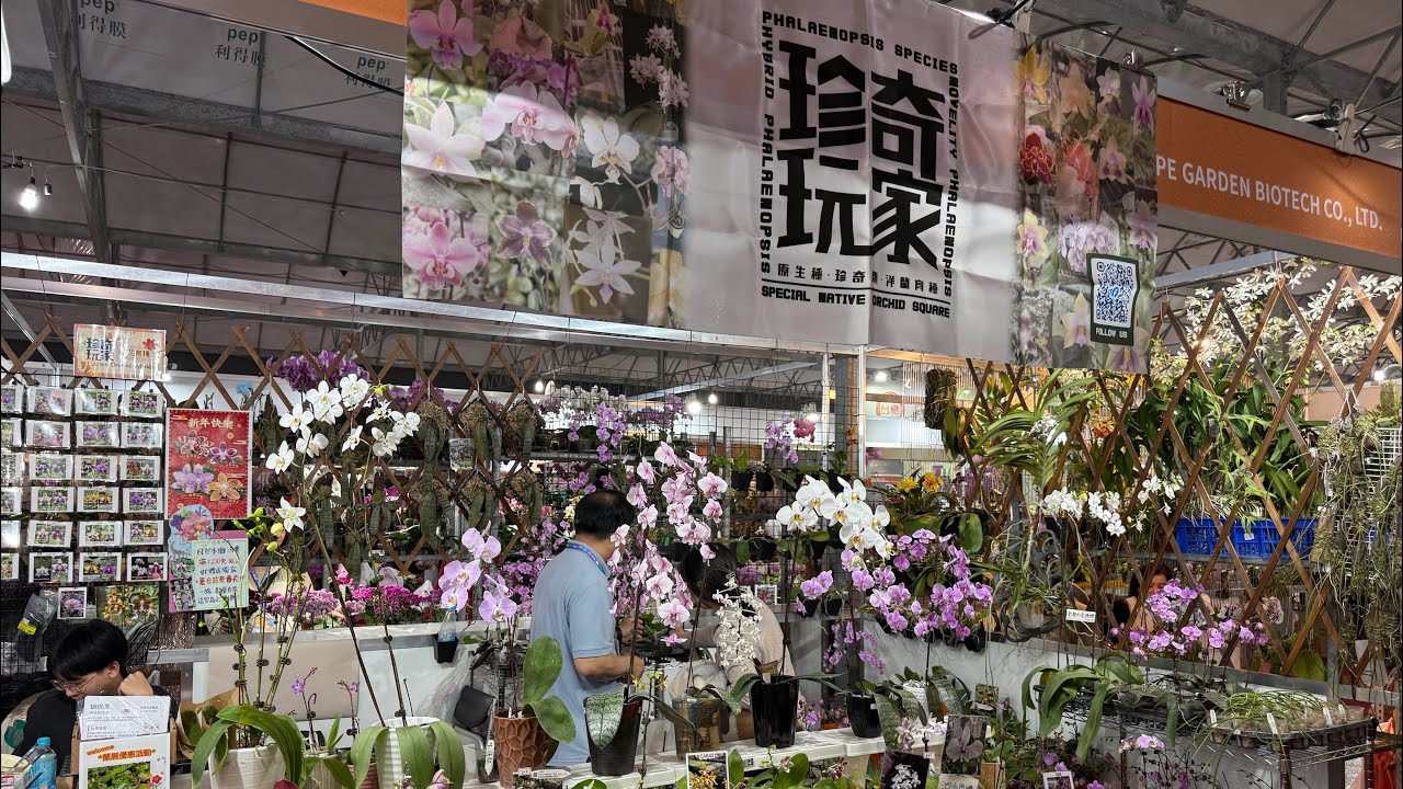 我們來看蘭展的販賣部了 先來看第一家 珍奇玩家