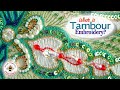 What is tambour embroidery? Find out here! | Luneville embroidery