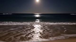Midnight Ocean Sounds 🌊 Soft Waves in the Dark for Deep Sleep