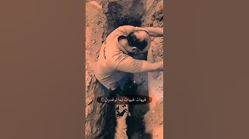 #راحة_نفسية #تلاوات #صلوا_على_النبي #القرآن_الكريم #استغفر_الله #سبحان_الله #الحمدلله