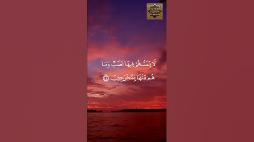 ان المتقين فى جنات وعيون - سورة الحجر - القارئ هزاع البلوشى